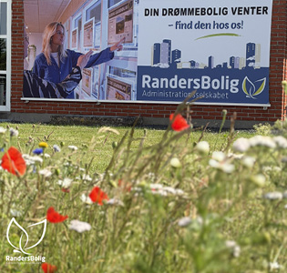 Nyhedsbillede