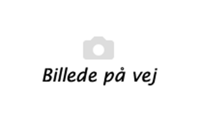 Billede