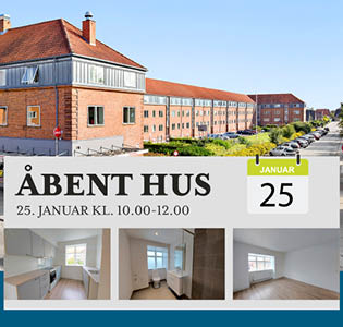 Åbent hus - Anemonevej etape 3 - 25. januar.jpg