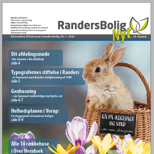 forsidebillede til hjemmesiden RABO NYT 01-2026.jpg